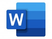 2019 WORD ICON