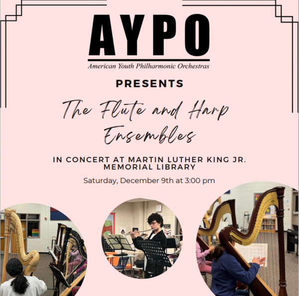 American Youth Philharmonic Orchestra presents The Flute and Harp Ensembles