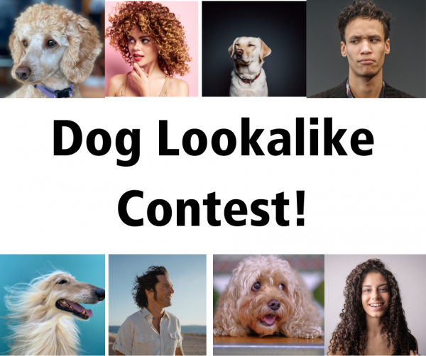 Dog Lookalike Contest: Pictures of dogs and people who lookalike