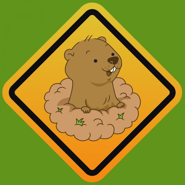 Groundhog on a yellow road sign 