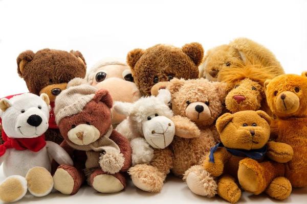 Image for event: Stuffed Animal Slumber Party