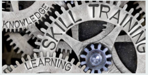 gears with the words "knowledge, skill training, and learning"