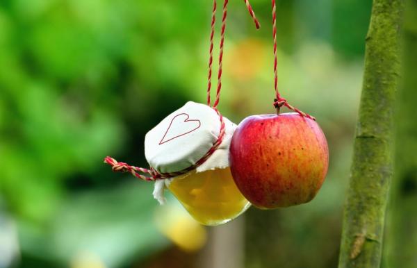 A red apple and a small jar of honey covered with a cloth are hanging by red string in front of an out-of-focus green background. The cloth jar lid is decorated with a heart.