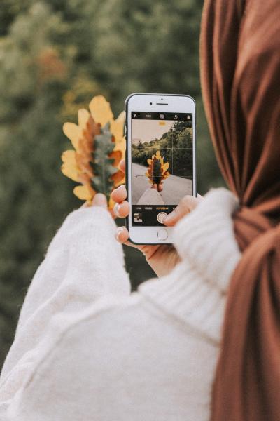 person photographing dry leaves with a smartphone