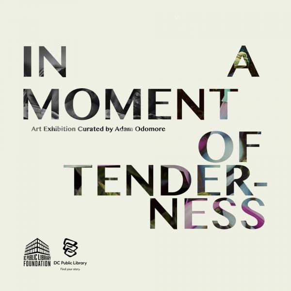 In a Moment of Tenderness
