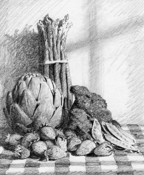Still life graphite drawing of vegetable on a table